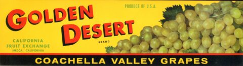 Golden Desert